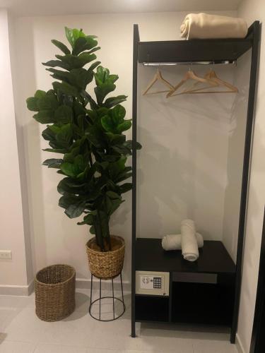 Moet Medellin Hotel, Medellín (foto 11)