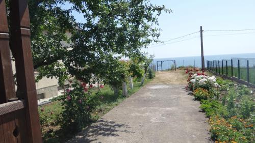 Pensiunea Sapte Pini - image 6