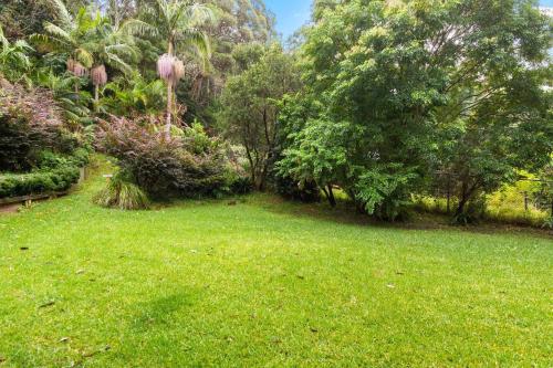 Faciliteter, 'Rainforest Escape' Tropical Poolside Serenity in Thirroul