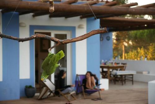 Herdade do Frei Cuco - image 7