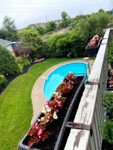 Poolside entire lower level apt, Whitby (photo 2)