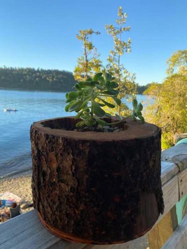 Cabaña con tinaja a orilla del lago Panguipulli