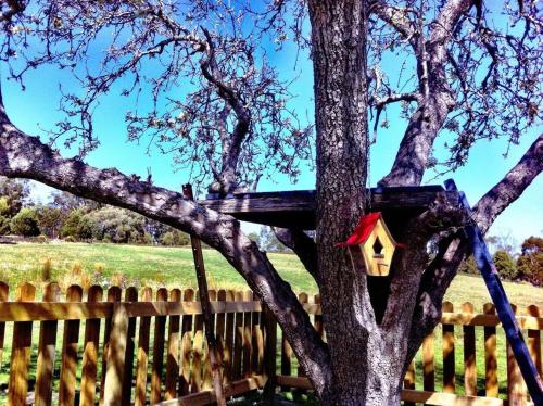 Oakchester Cottage on Bruny Island