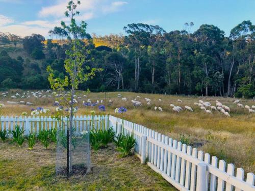 Oakchester Cottage on Bruny Island