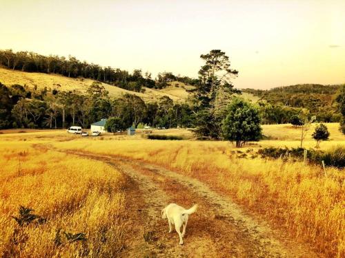 Oakchester Cottage on Bruny Island