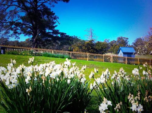 Oakchester Cottage on Bruny Island