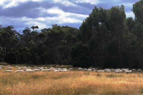 Oakchester Cottage on Bruny Island