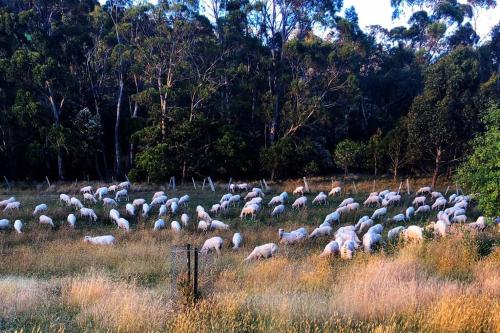 Oakchester Cottage on Bruny Island
