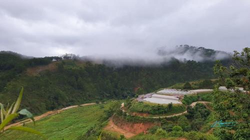 Tuyên Chiến Home & Resort