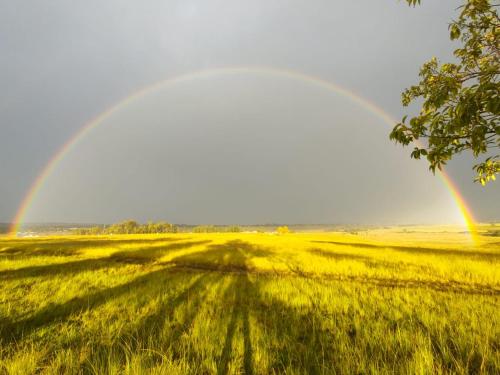 Grey Goose Game Lodge Grey Goose Game Lodge