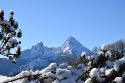 FeApp Jennerblick Maria Gern