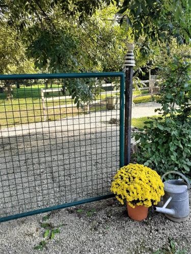 Kilátás, Ferienwohnungen "Zum Lochfeld" in Bliesmengen-Mandelbachtal