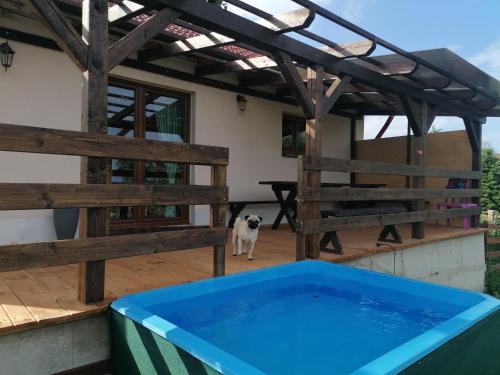 Chaloupka u Montyho in Petrovice