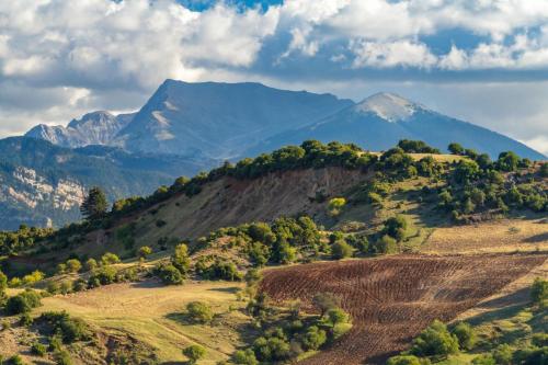 Evgenias House Ancient Olympia - Happy Rentals