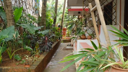 Coco Moon, Morjim (foto 2)