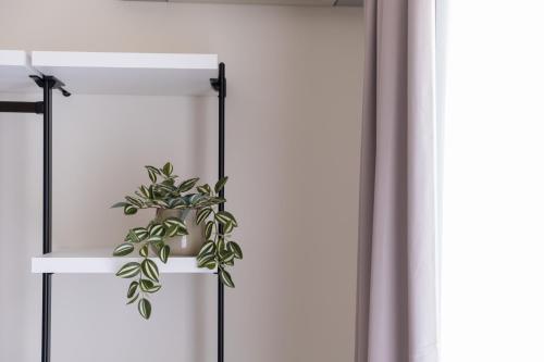 Acquamarina Rooms - image 4