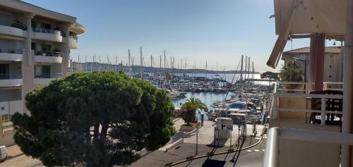 Port Frejus, les Rives Latines, 2 pieces , 40m2, 4