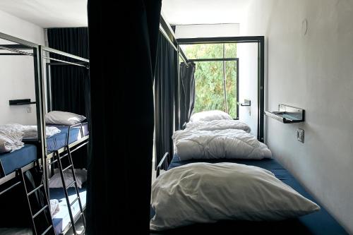 Jungle Jaffa Hostel Age 18 to 45 in Tel Aviv