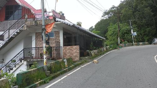 ROCK VILLAGE HOMESTAY