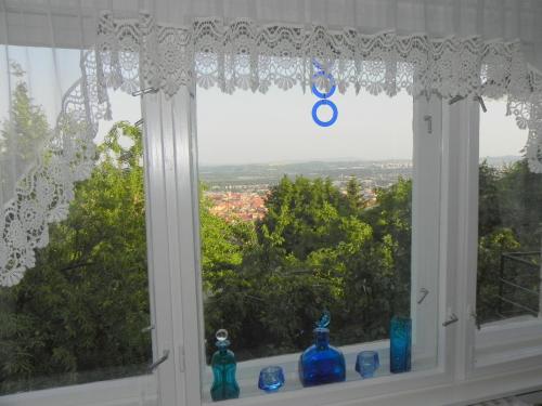 ทัศนียภาพ, Tulipan Panorama Apartman in เมซเซกอลดัล
