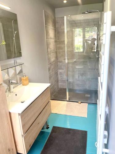 Fürdőszoba, Appartement charmant au cœur de Nonancourt, jardin privé (Appartement charmant au cœur de Nonancourt, jardin prive) in Breux-sur-Avre