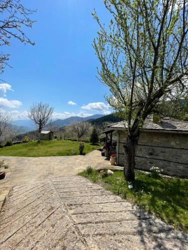 Παραδοσιακή πέτρινη κατοικία στην Βλάχα Ελάτης