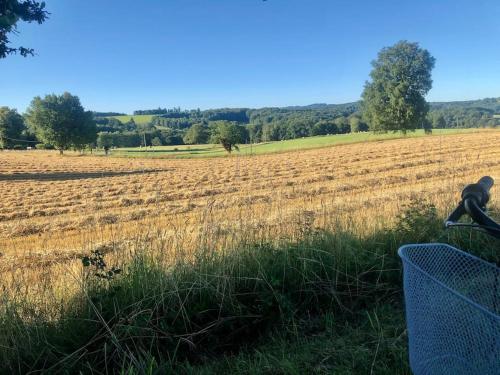 Chalet à la campagne