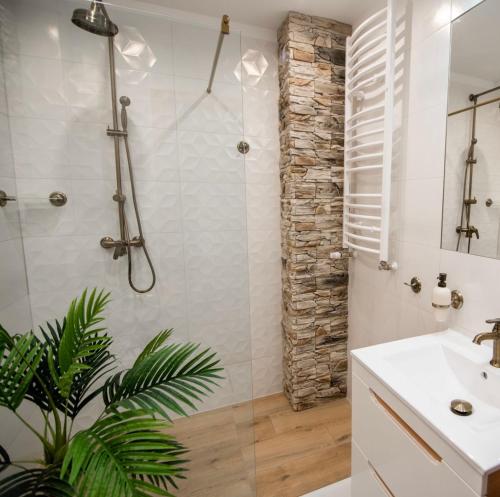 GOLD MOUNTAIN Apartament Szklarska Poręba, Szklarska Poręba (foto 10)