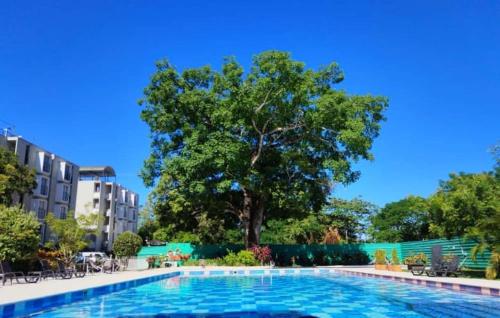 Apartamento Melga - Altagracia