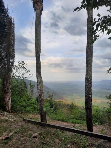 Valle dos ipês