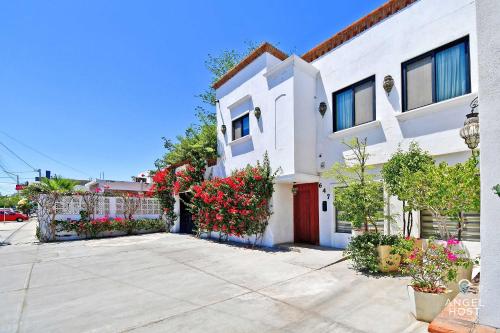 Dreamy Studios in Downtown La Paz by Malecón