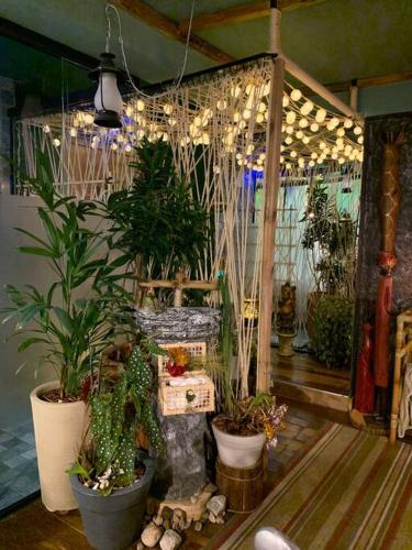 Loft TEMÁTICO Java Com VISTA ESPETACULAR, São Paulo (zdjęcie 3)