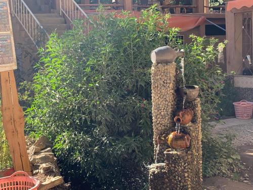Dārzs, Auberge Toubkal Amsouzart Aitst Idar in Amsouzart