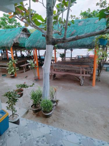 Rendezvous Beach Resort - Cabongaoan in Bani