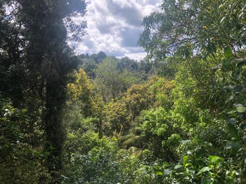 Kākā Ridge Retreat Bush Hideaway