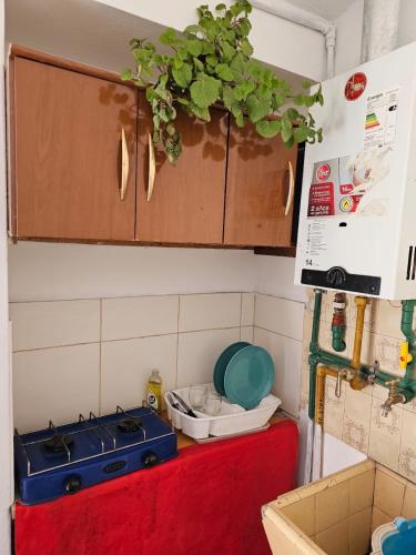 One-Bedroom Apartment image 1
