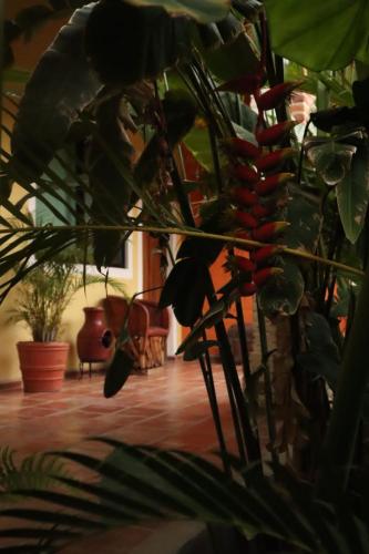 495481985 Hotel Boutique Sol y Luna SPA