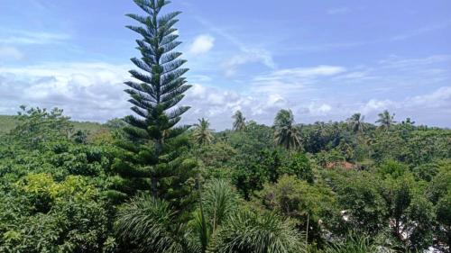 Green View Villa - image 4