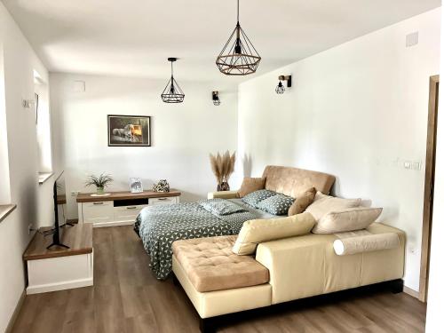 Apartment Country House Zaton in 拉登齊