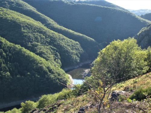 景觀, chalet nature sur la vallée de la Truyère (chalet nature sur la vallee de la Truyere) in 訥韋格利斯
