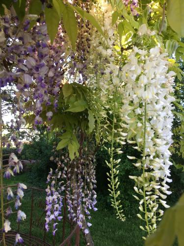  Agriturismo SetteLune in Bibbiano