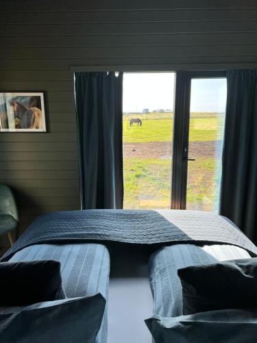 Sleeping with the Horses, Hvolsvöllur (photo 8)