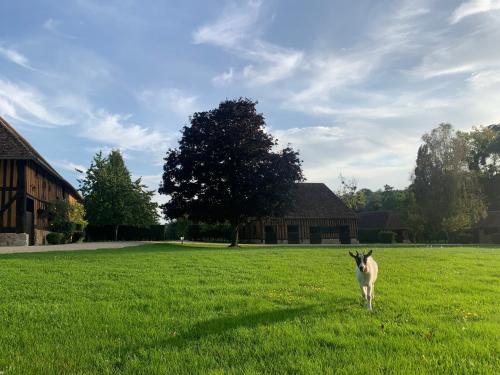 Aile privée au sein d’un haras (Aile privee au sein d’un haras) in Cambremer