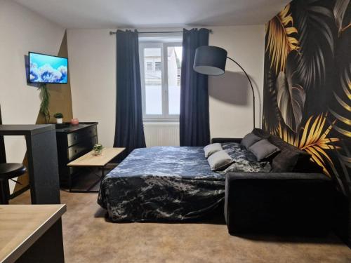 Appartement spacieux MULHOUSE