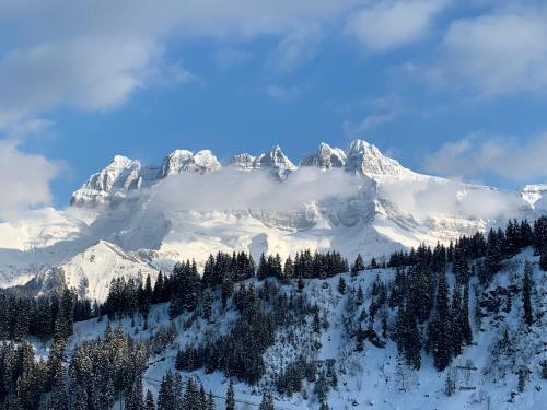 Les Œillets, Les portes du Soleil, Champoussin (zdjęcie 7)