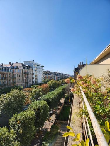 L'Orangerie - Location saisonnière - Strasbourg