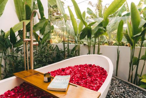 Modern Tropical 3BR villa Seseh, Canggu