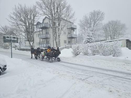 Hotel Zum Gründle