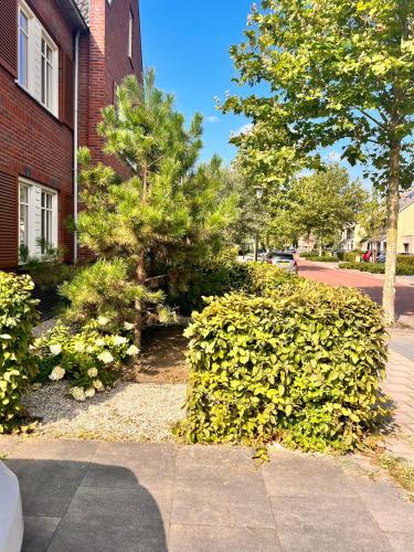  Erika House, Ferienwohnung in Barendrecht
