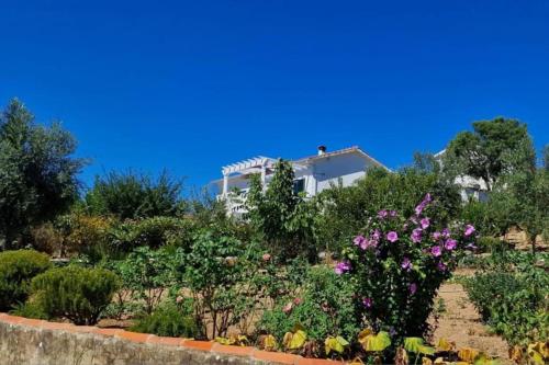 Refugio Abrunheiro Grande gîte à louer Relva do Boi